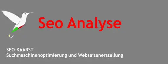 SEO-KAARST-seo-analyse